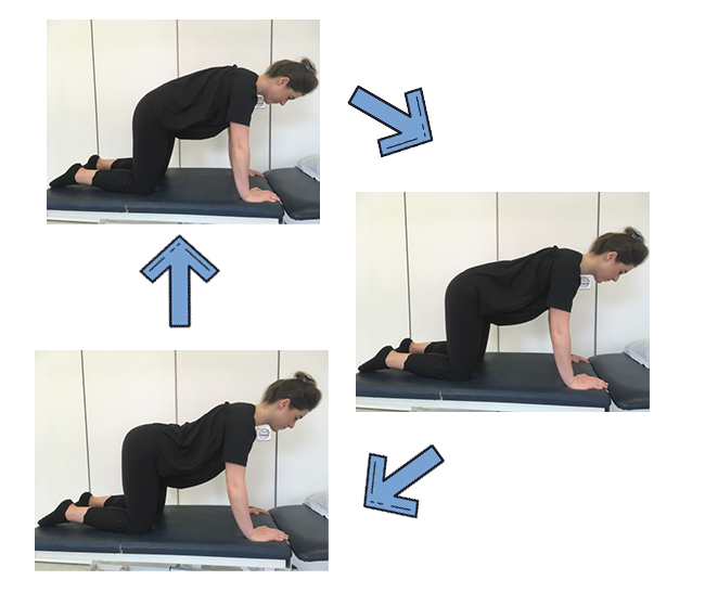 Woman on all fours demonstrating pelvic tilt exercise by moving from an arched back to a neutral position then to a concave back