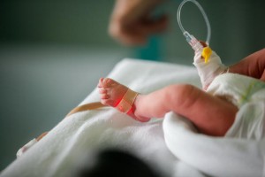 Premature little baby in an incubator